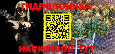 сатива Изобильный