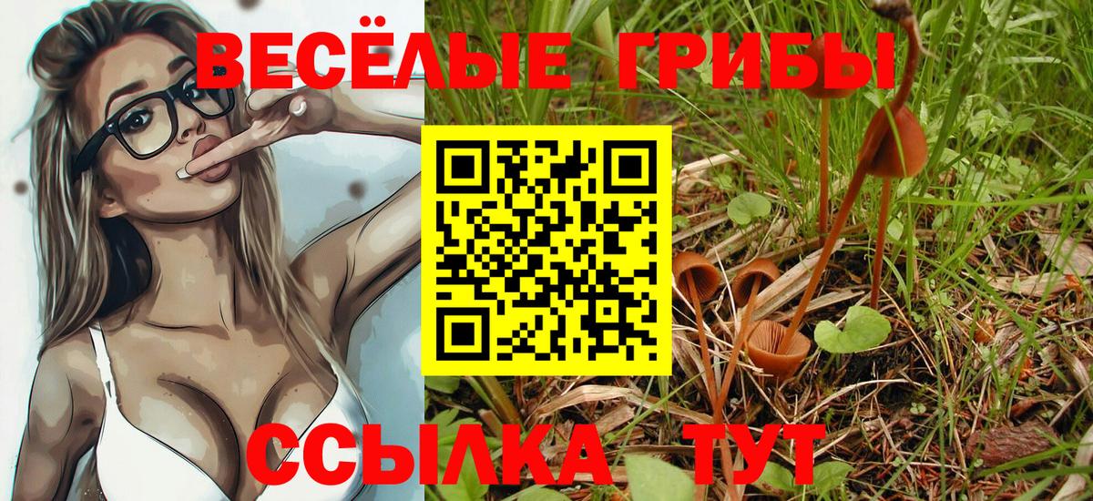 Галлюциногенные грибы ЛСД  Псилоцибиновые грибы мухоморы  хочу наркоту  Лесной  Вход с VPN 