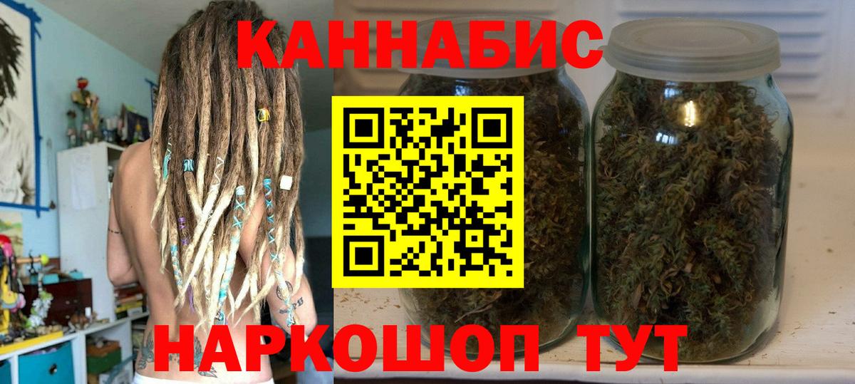 Конопля конопля Лесной