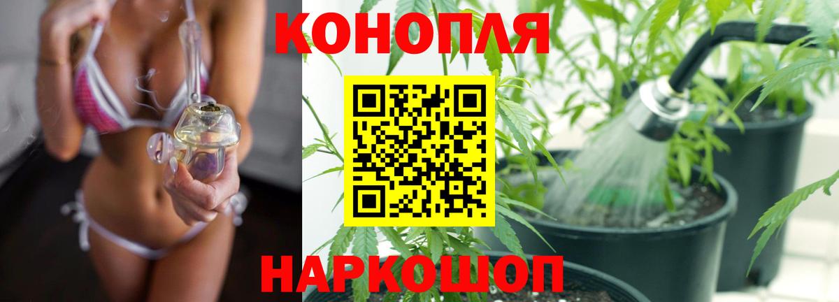 Бошки марихуана планчик  Бошки марихуана конопля  Вход с VPN  Лесной  МАРИХУАНА семена 